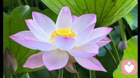双向出轨如何修复婚姻