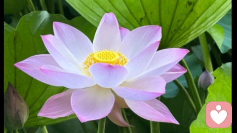 爱的尽头