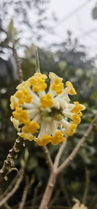 雖然沒有改變生活環境的能力，但卻可以隨時隨地調節自己的心情配圖
