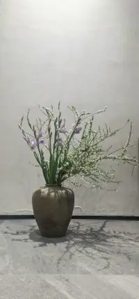 生活的美好，一半源于知足，一半源于感恩，心懷感恩，方能感到幸福配圖