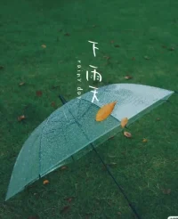 下雨天，连空气都是懒洋洋的。