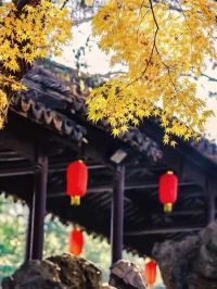 这世间广袤无垠，我们降临其中，仅有一次体验人生的机会。既然如此，又何必让烦恼与忧愁占据生活的主场？与其在琐碎的困扰中纠结挣扎，不如打开心扉，以乐观豁达的心态，尽情感受世间的美好。用欢声笑语填充每一个平凡的日子，让快乐成为生活的底色，如此，方能不负这仅有一次的宝贵人生。配图