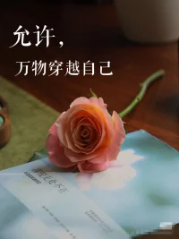 直到成熟的年龄，才明白——
生活不是对抗风雨，
而是愿意松开控制，
让情绪穿过自己，让经历流动。