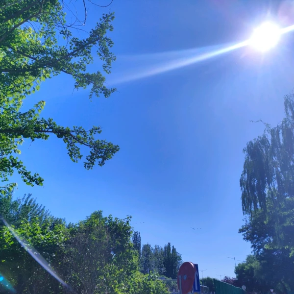 陽陽心理
