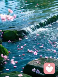 坚冰之下必有暖流