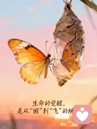 幻滅是成長的開始
人總要面對自己不敢面對的感情
才會真正的長大。

其實，豈止是感情呢？
勇于面對，不逃跑，才有改變的機會。