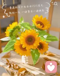 强行要求他人改变，往往会激发心理抗拒，甚至让对方更固守原有模式。
而真正的、持久的改变，几乎都源于一个人自己意识到“我需要不同”，并愿意为此付出努力。