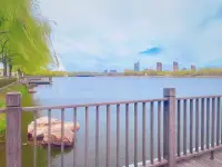 我的身体住着两个我，一个歇斯底里，一个温柔恬静配图