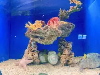 人生的快樂就是，走自己的路，看自己的風景，感恩，知足，微笑，簡單。配圖