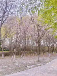 若逢一人，与之相处，能肆意展真言，无需矫饰，觉自然舒畅，了无挂碍，则此人必为汝命中至殊至重之人。配图