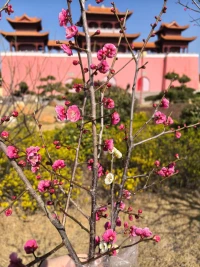别问我用什么方法治愈你，看见我，听见我，你就会找到＂药＂想要给予什么，要先成为什么配图