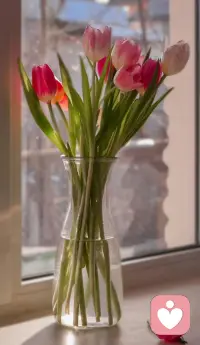 心有归处，步履自稳，前路的答案，从来都藏在每一个认真对待的当下。配图