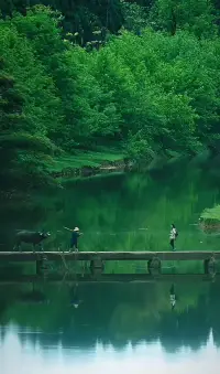看見自己（一）

主動的人，會主動尋找自己身上的問題，然后加以改進。每個人身體里都會有缺陷，它是造成你止步不前的一個重要原因。每當你準備往前邁進一步的時候，他就會拉扯你，就像那些生活中看不得你好的人一樣，審視這個缺陷，你看見了“自己”。當你“看見自己”的時候，你就看到了那個缺陷，就有了進一步改進的空間。你就有機會在自己陷入困境之前，按下暫停鍵。配圖