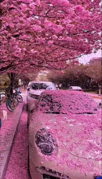 愛是相互的，當你在對方面前只暴露你的強大，不暴露你的脆弱時，那就阻斷了對方愛你的途徑。配圖