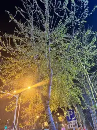 當一個人對自己沒有愛，沒有信任時，自然就希望從別人那里得到。可悖論卻是一個連自己都不會愛的人,也不可能給別人愛。配圖