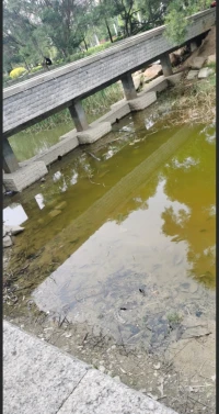因為人格結構的組合不同，人格的特征不同，構成了人與人之間的個體差異。就像你喜歡熱鬧，她卻喜歡安靜，你喜歡看狂熱足球賽，她卻喜歡看浪漫的偶像劇。你想讓他抱抱你，而他只想喝杯熱咖啡。而正是這些差異，往往會成為彼此之間溝通的障礙和鴻溝。配圖