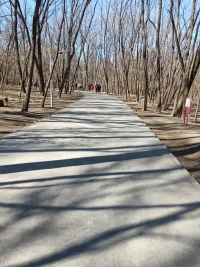 行動是治愈恐懼的良藥，
對生活該盡的義務，該擔的責任，
扛起它，這就是人生。配圖