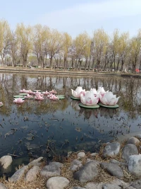 這個(gè)世界上除了你自己，沒有人能真正幫到你，
雞蛋從外打破是食物，從內(nèi)打破是生命。
人生也一樣，從外打破是壓力，從內(nèi)打破是成長(zhǎng)。
如果你等待別人從外打破你，那么你注定成為別人的食物。
如果你自己從內(nèi)打破自己，那么你會(huì)發(fā)現(xiàn)自己的成長(zhǎng)相當(dāng)于一種重生。
一個(gè)人想要改變自己的命運(yùn)。靠的不是別人，關(guān)鍵是自己。
生命的真諦就是做自己的擺渡人。配圖