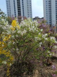 “離婚”是兩個人的共同責任，
不能定義否定個人的價值，
你值得被尊重，無論關系是否存續配圖