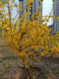記憶不是盾牌，也不是利劍，更像是迷霧配圖