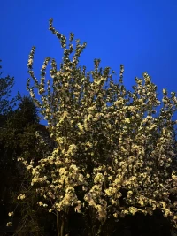 當人們對生活賦予的意義改變了的時候，人們就對過去習以為常，甚至滿意的東西，都不再滿意了配圖