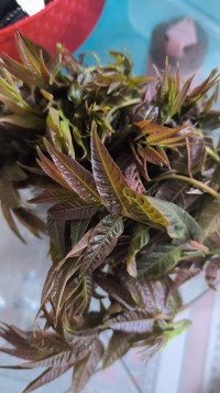 永远把爱自己放在第一位。
当我们意识到这一点后，
即使遇到不友善的人，我们也能更好地应对，
因为最重要的是我们如何对待自己的核心体验。配图