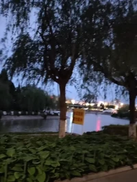 青少年期（12~18）
冲突:同一性与角色混乱
搜索自我身份（价值观、职业、人际关系），整合过去与未来。形成“忠诚”，明确自我定位，并忠于信念。
消极结果:角色混乱，迷失方向或过度迎合他人期待。配图