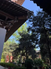 弗洛伊德曾说：“未被表达的情绪永远不会消失，它们只是被活埋了，以后会以更丑陋的方式出现。”配图