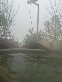 在感情的世界里，
不是讓另一半看到愛，不是讓另一半聽到愛，
而是應該讓另外一半感受到愛、感知和覺察到愛。配圖