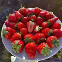 情緒邊界的本質是明確我的情緒與他人情緒的權責界限。
例如允許不完美的善良：拒絕≠自私 
 如孩子需明白“不幫弟弟打掃房間不代表不愛他。”配圖