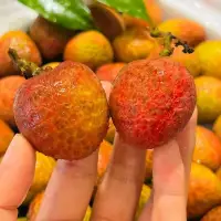 爱需要适当的”距离“，但不要”疏离;
 关系需要界限，但不要局限。配图
