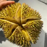 遇事从自己身上找问题，一想就通。
从别人身上找原因，一想就疯。
高度不一样，胸怀和格局不一样。
人若没有高度，看到的都是问题。
人若没有格局，心中便都是鸡毛蒜皮。
做人把不想做的事做好是一种能力。
把快骂出的话忍住是一种本事。
把咽不下的气咽下是一种胸怀。
把看不顺的人看顺是一种修为。
把看不起的人看起是一种修养。配图