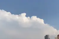 每个人生来都想获得他人认可，
也需要他人的吹捧来满足虚荣心。
最高级的控制，是让对方在你的认可里自愿沉沦。配图