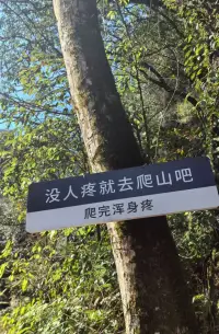 有时候我们对某些事物的强烈情绪背后，可能隐藏着更深层次的感受和创伤经历配图