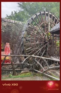 懷有敬畏之心去善待每一個小生命，因果輪回，下一場會面，頂峰相見配圖