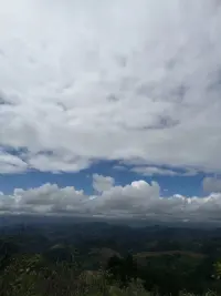風物長宜放眼量.配圖