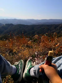 沒有誰需要可憐，每個人都是在按自己的軌道前行，你看到別人所謂的弱小只是你內(nèi)在自己的映射而已，收起你那一文不值的圣母心吧.配圖