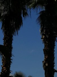 潜龙勿用，阳在下也.配图