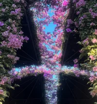 過去心不可得，現在心不可得，未來心不可得.配圖
