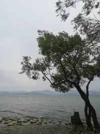 我的皮肤是大地的纹路，我发丝间灌满森林的风，我的瞳孔是星云，我的血管是河流，指节是山川，当我唱起歌来的时候，这个宇宙缓缓运作配图