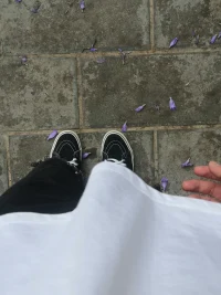 你的信念創造你的物質實相.——賽斯資料配圖