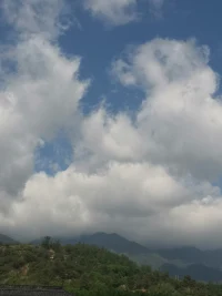 我是荒原上永不枯萎的玫瑰
在贫瘠的土地上把伤痕长成锋利的锋芒
让每根尖刺都闪耀着对抗宿命的微光.配图