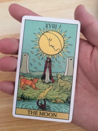 Tarot中的月亮牌，月亮是不容否认的，如果我们对抗恐惧，它可能会变的更强大，心灵，是以自己的理由，自己的规律来运作的，如果我们容许自己去体验它，恐惧将会转为惊异，以及通往冒险的入口.
