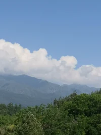  聚散皆为云中月，得失不过镜里花