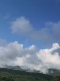 就當個浪蕩流寇，心無掛礙.