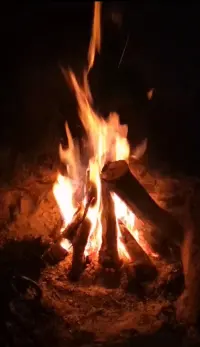 你是荒原上永不熄灭的火种.
