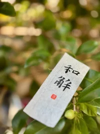 成長的本質是什么？

成長的本質就是與父母和解。

 與父母和解是一輩子的事情，永無止境。我們恨父母，就會恨他們的孩子—自己。自己就不會允許自己幸?？鞓贰?

跟父母和解，才能感受到父母的愛，才會自己愛自己，才會允許自己成功，允許自己幸福。配圖