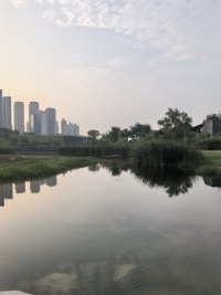 “投胎”是个技术活，出生就像一场无法预演的开幕。
但当我们开始凝视原生家庭的伤痛时，或许人生的剧本就此改写。
也许有一天，你也可以在自己的废墟上种出属于自己的玫瑰，会发现原来自己成为了自己命运的主宰，超越了“投胎”的原始设定。配图