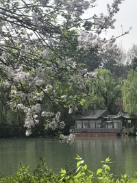 昨天的一个来访一直在自责孩子小的时候觉得孩子是负担，是累赘，没有太多的耐心给到孩子。导致孩子大二抑郁辍学在家至今快要三年了……
心疼孩子，也心疼这样的父母。我们对孩子的亏欠，孩子总会用另一种方式来索取，人生必须要面对的课题迟早要面对。配图