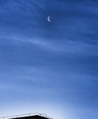 亲爱的朋友，那些深夜让你难眠的家庭阴影，也许正是命运埋藏的彩蛋——它迫使你早早开始寻找属于自己的星辰大海。配图